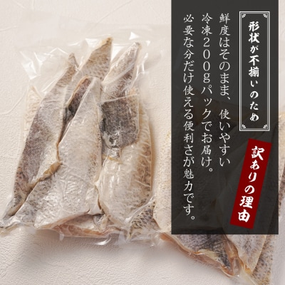 【訳アリ】淡路島産 スズキ切り落とし 1.2kg(200g×6パック)　as21061
