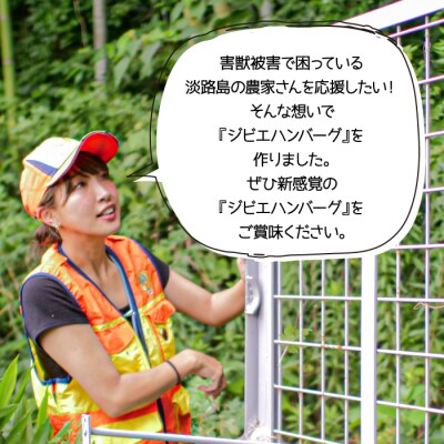 【ジビエハンバーグ】淡路島産イノシシハンバーグ24個セット　as23012