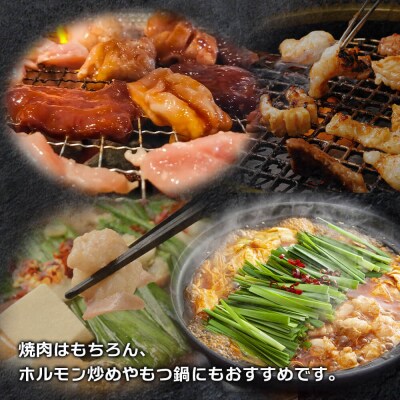 淡路島産プレミアム牛 イザナミ黒牛ホルモンミックス 1.5kg(500g×3パック)　at04123
