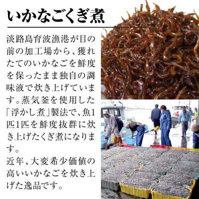 淡路島 高栄水産、いかなごくぎ煮とちりめんじゃこのセット 600g(300g×2箱)　at15010