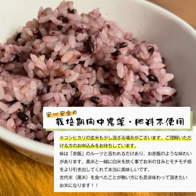 古代米(黒米) 希少!栽培期間中農薬・肥料不使用 1kg(500g×2PC)　aw03026
