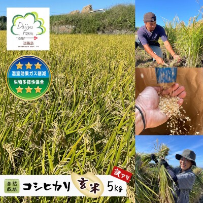 自然栽培 コシヒカリ(玄米) 5kg 《無選別品のため訳アリ》　aw03028
