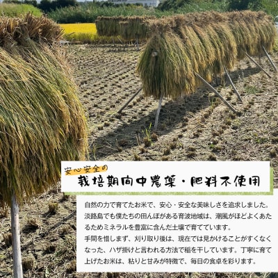 【定期便6ヶ月】自然栽培 コシヒカリ(玄米) 5kg 《無選別品のため訳アリ》　aw03032