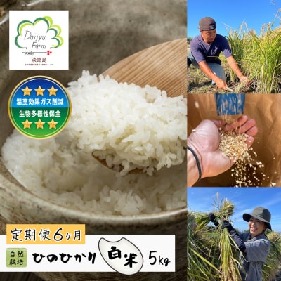 【定期便6ヶ月】自然栽培 ひのひかり(白米) 5kg　aw03034