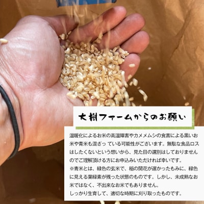 【定期便6ヶ月】自然栽培 ひのひかり(白米) 5kg　aw03034