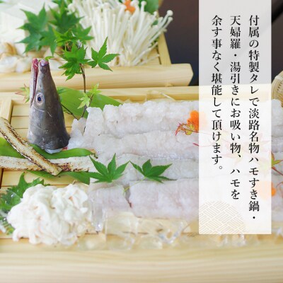淡路島産はもセット【冷凍】(約3人前)　ay02026