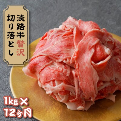 【定期便12ヶ月】淡路牛 贅沢切り落とし 1kg (250g×4PC)　ay08008