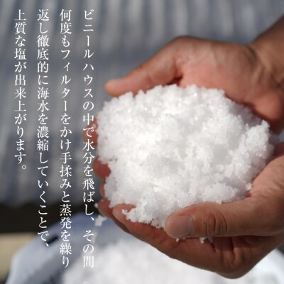 淡路島海塩 TEN-PI-EN 大粒1kg(500g×2袋)　ay09016