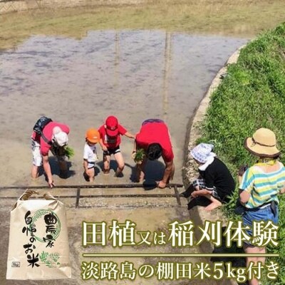 田植又は稲刈体験 淡路島の棚田米5kg付き　ae01110