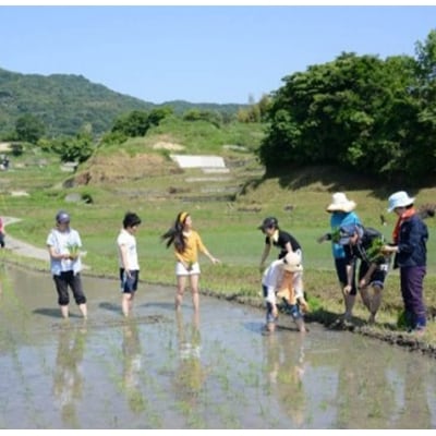 田植又は稲刈体験 淡路島の棚田米5kg付き　ae01110