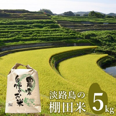 淡路島の棚田米 5kg 精米 白米　ae01114