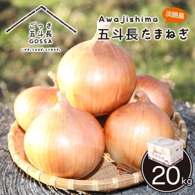 五斗長たまねぎ 20kg(20kg箱×1) 淡路島産玉ねぎ　ag01009