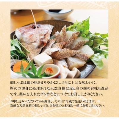 淡路島岩屋産天然岩屋鯛しゃぶしゃぶセット(約3人前)【お届け日指定返礼品】　ag02010