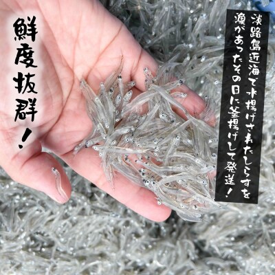 淡路島産【ゆでたて直送】釜揚げしらす 640g(80g×8パック)【到着日指定不可】　ah08011