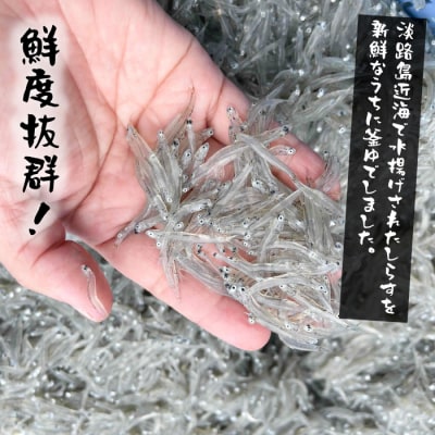 【訳あり】淡路島・藤本水産 しらす釜揚げ 業務用サイズ1kg入り　ah08013