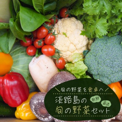 淡路島の旬の野菜セット【お届け日指定返礼品】　ah09004