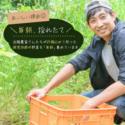 淡路島の旬の野菜セット【お届け日指定返礼品】　ah09004