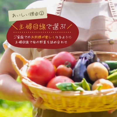 【定期便】淡路島の旬の野菜セット 1年コース(月1回×12回)　ah09006