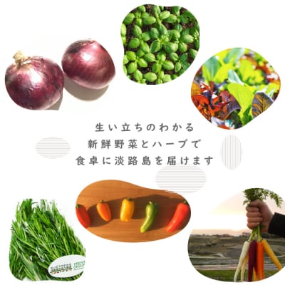 フレッシュグループ淡路島彩り野菜と香るハーブセット【お届け日指定返礼品】　ah11006