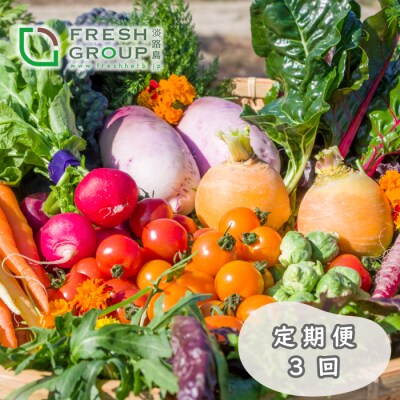 【定期便】彩り野菜と香るハーブセット 3回お届け野菜セット　ah11007