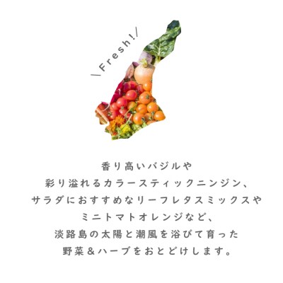 【定期便】彩り野菜と香るハーブセット 3回お届け野菜セット　ah11007