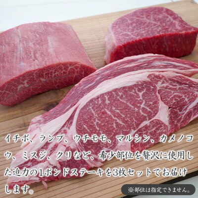 淡路牛希少部位ステーキ 3ポンド食べ比べ 約450g×3枚　ah14093