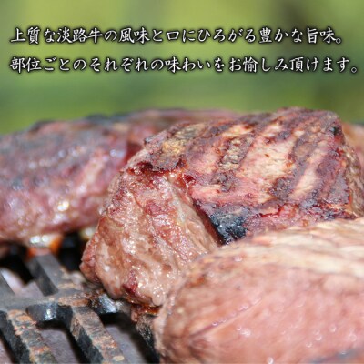 淡路牛希少部位ステーキ 3ポンド食べ比べ 約450g×3枚　ah14093