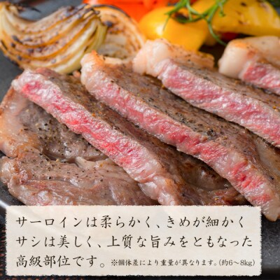 淡路牛 サーロイン 原木丸々1本 約6～8kg　ah14095