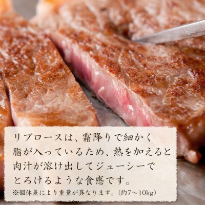 淡路牛 リブロース 原木丸々1本 約7kg～10kg　ah14096