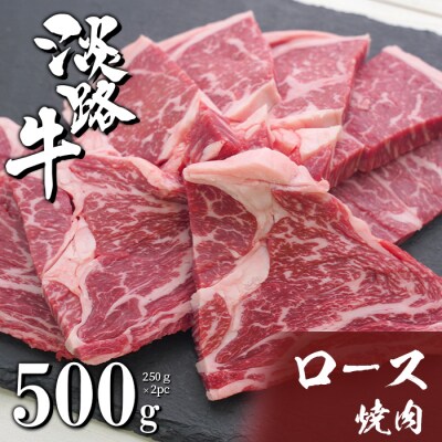 淡路牛ロース焼肉 500g(250g×2PC)　ah14102