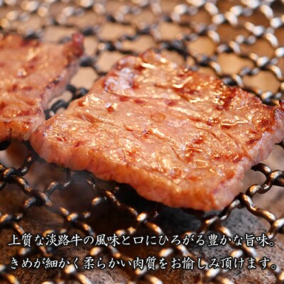 淡路牛ロース焼肉 500g(250g×2PC)　ah14102
