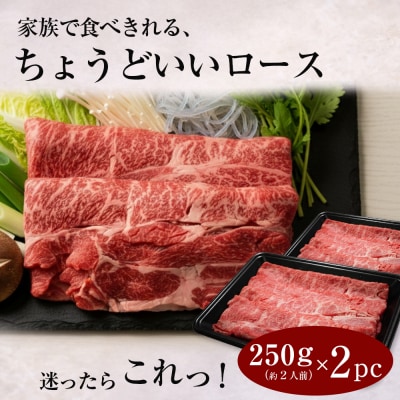 淡路牛ロースすき焼き肉スライス 500g(250g×2PC)　ah14117