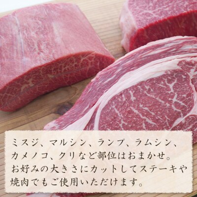 淡路牛 希少部位ブロック 約500g　ah14118
