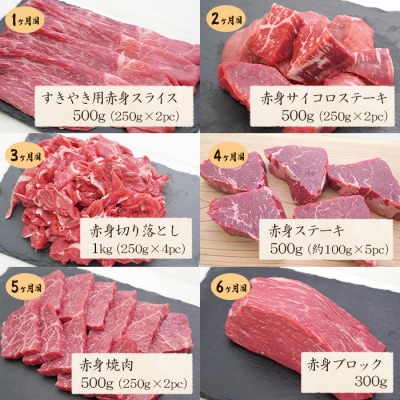 【定期便6カ月】淡路牛 特選赤身肉定期便　ah14122