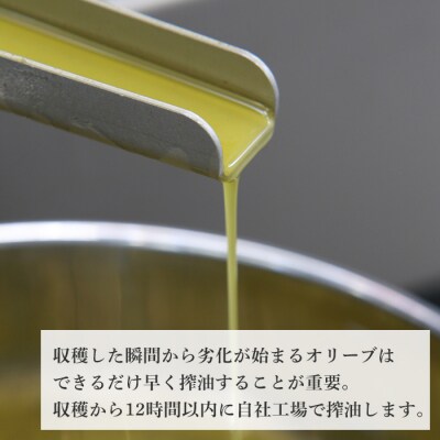 6本セット!「淡路阿利布」91g(エキストラバージンオリーブオイル)　ah18020