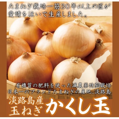 今井ファームの淡路島たまねぎ「かくし玉」 5kg　ai01155