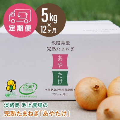 【定期便】淡路島 池上農場の完熟たまねぎ「あやたけ」5kg 12ヶ月コース　ai03017