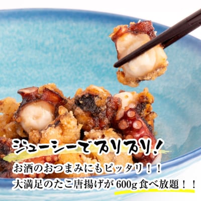 淡路島産 明石だこの唐揚げ(600g)　aj01019