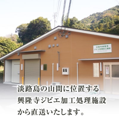 淡路産 猪肉スライス 500g ak19007