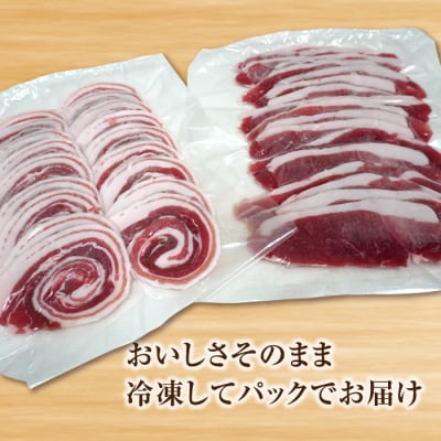 淡路産 猪肉スライス 1kg ak19008