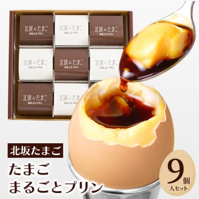 北坂たまごまるごとプリン9個入セット　ak22003