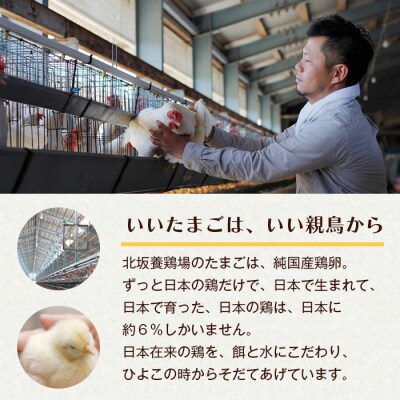 淡路島もみじ・淡路島さくら 詰め合わせ 割れ保証付き 淡路島産鶏卵　ak22004