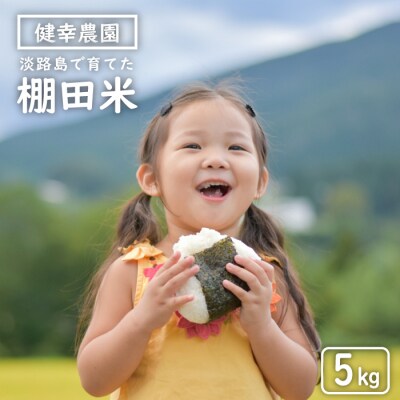 健幸農園の棚田米 5kg　ak29027