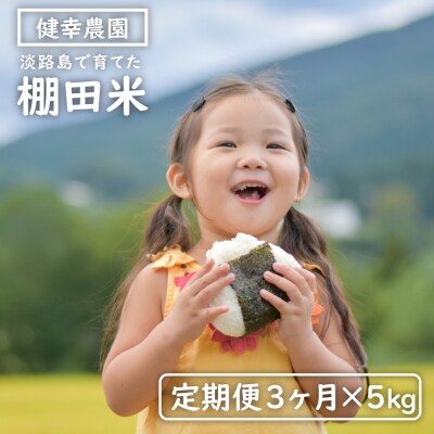 【定期便】健幸農園の棚田米 5kg×3ヵ月セット　ak29029
