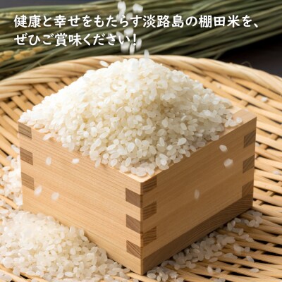 【定期便】健幸農園の棚田米 10kg×3ヵ月セット　ak29030