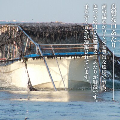 小浅謹製 バター風味のり(兵庫県産)8切×80枚(板のり10枚)×5袋　am10012