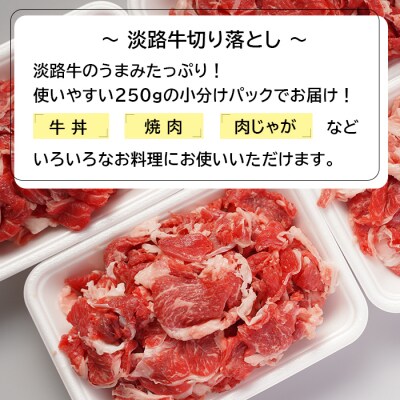 淡路島のお肉お手軽味わいセット(ハンバーグと淡路牛切り落とし)　an07054