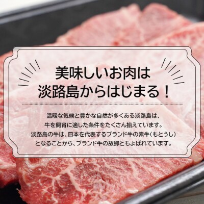 淡路牛ロース焼肉500g(250g×2P)　an07063