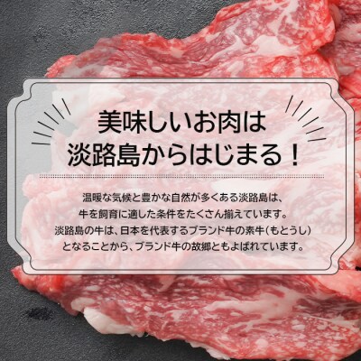 淡路牛カルビ焼肉用500g(250g×2)　an07064