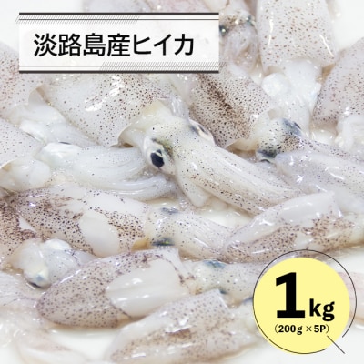 淡路島産ヒイカ 1キロ　an07070